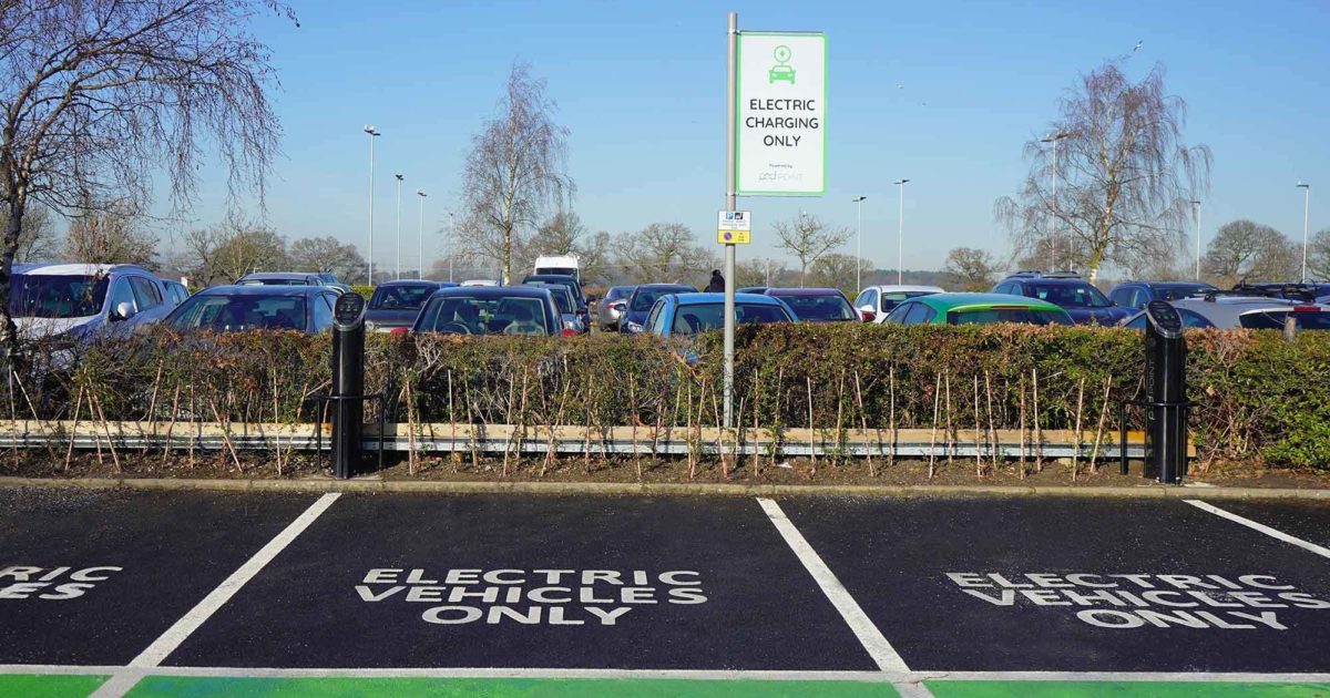 Zoo alliance picture