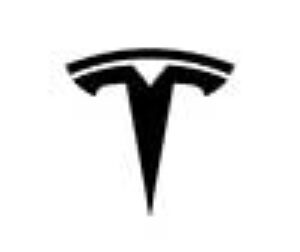 TESLA logo 2023