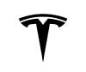 TESLA logo 2023