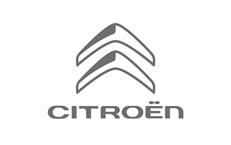 Citroen Logo Flat 300