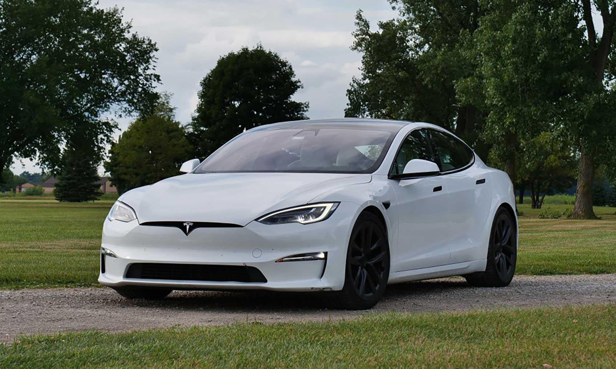 White Tesla Model S with scenic park background